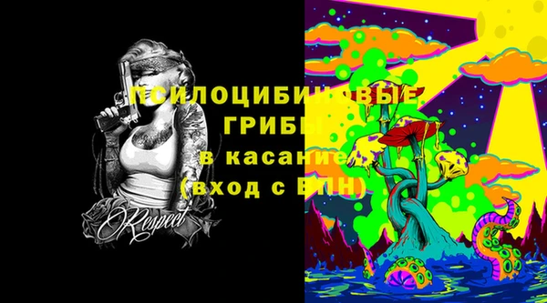 ешки Алзамай