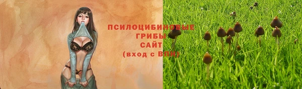 таблы Алексеевка